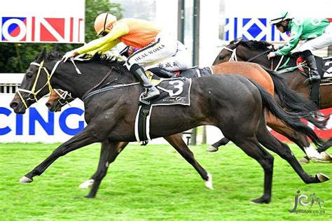 turffontein results today and payouts